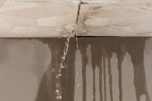 Professional Structural Drying technician working in Swanton, OH